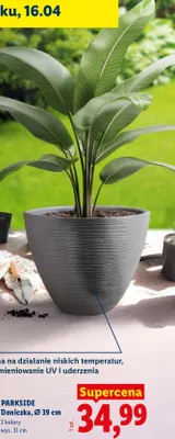 Doniczka, Ø 39 cm promocja w Lidl