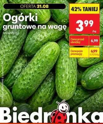 Ogórki gruntowe na wagę promocja w Biedronka
