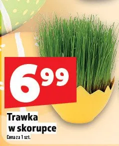 Trawka w skorupce promocja w TOPAZ
