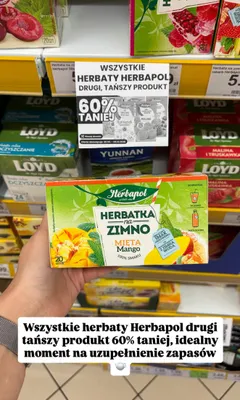 Herbatka na zimno Herbapol Mięta Mango promocja w Dino