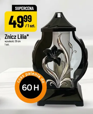 Znicz Lilia promocja w POLOmarket