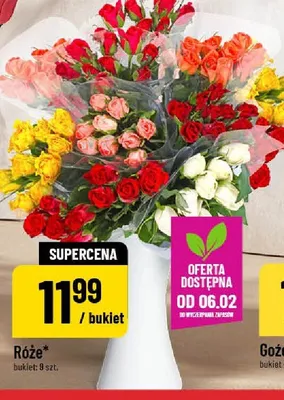 Róże bukiet 9 szt. promocja w POLOmarket