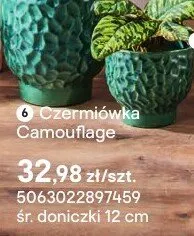 Czermiówka Camouflage promocja w Castorama