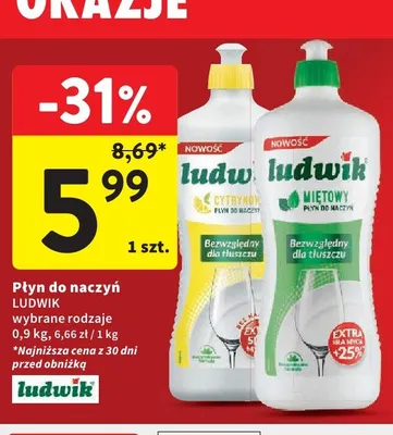 Płyn do naczyń Ludwik miętowy promocja w Intermarche