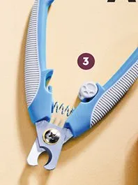 Akcesoria dla pupila cążki promocja w Biedronka