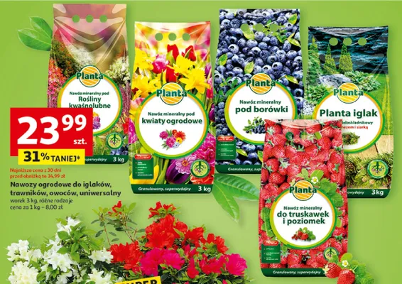 Nawóz mineralny pod borówki promocja w Auchan