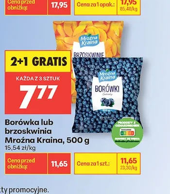 Borówka Mroźna Kraina 500g promocja w Biedronka