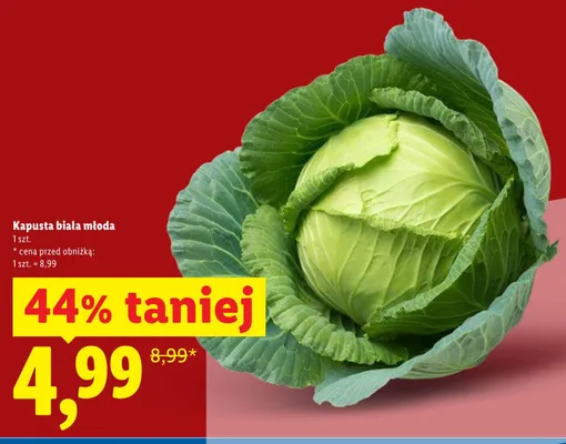 Kapusta biała młoda promocja w Lidl