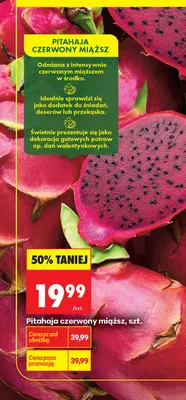 Pitahaja czerwony miąższ promocja w Biedronka