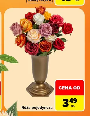 Róża pojedyncza promocja w Carrefour