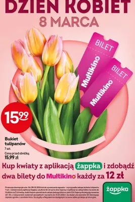 Bukiet tulipanów promocja w Żabka