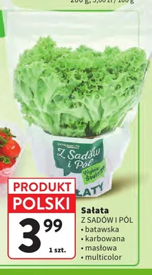 Sałata masłowa Z Sadów i Pól promocja w Intermarche