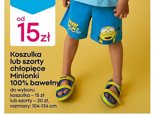 Szorty chłopięce Minionki promocja w Pepco