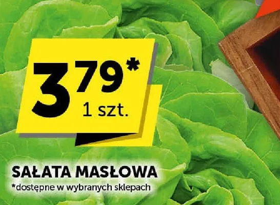 Sałata masłowa promocja w Euro Sklep