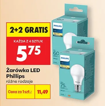 Żarówka LED różne rodzaje promocja w Biedronka