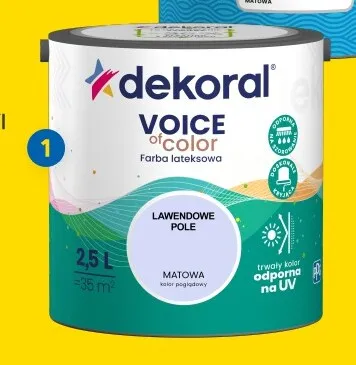 Farba kolorowa Dekoral Voice of Color promocja w Castorama