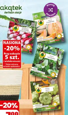 Nasiona promocja w Dino