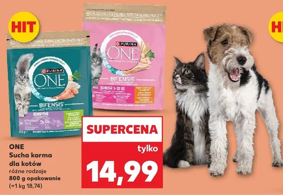 Sucha karma dla kotów ONE Bifensis Junior 1-12 promocja w Kaufland