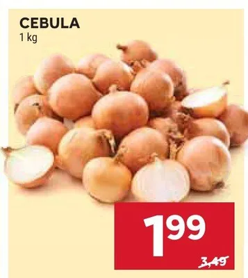 Cebula promocja w Stokrotka