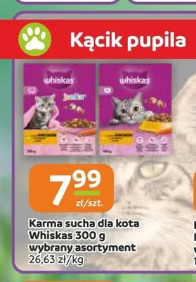 Karma sucha dla kota Whiskas Junior promocja w Gama
