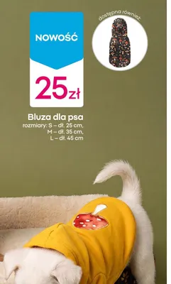 Bluza dla psa promocja w Pepco