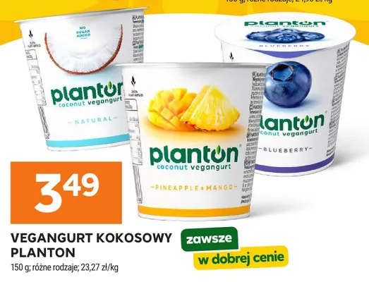 Vegangurt kokosowy Blueberry Planton promocja w Stokrotka