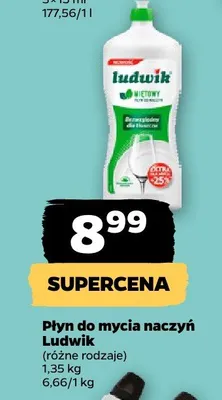Płyn do mycia naczyń Ludwik promocja w Netto