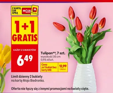 Tulipan promocja w Biedronka