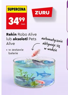 Aksolotl Pets Alive Zuru promocja w Biedronka