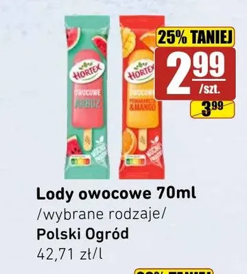 Lody owocowe arbuz Hortex Polski Ogród promocja w API Market