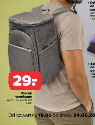 Plecak termiczny 35x25x17 cm promocja w Netto