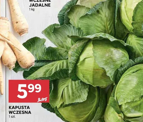 Kapusta wczesna promocja w Stokrotka