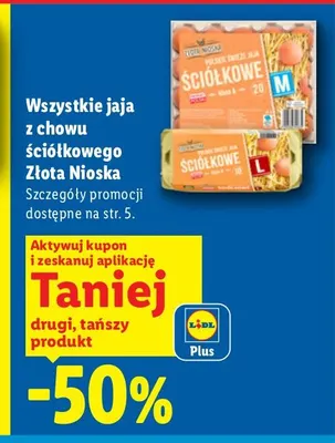 Jaja z chowu ściółkowego Złota Nioska promocja w Lidl