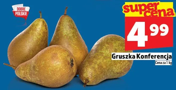 Gruszka Konferencja promocja w TOPAZ