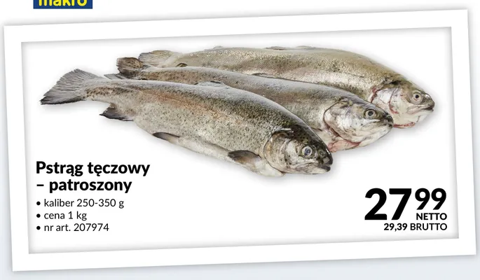 Pstrąg tęczowy patroszony promocja w Makro