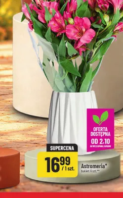 Astromeria bukiet 6 szt. POLOmarket promocja w POLOmarket