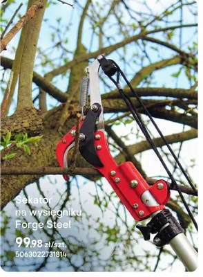 Sekator na wysięgniku promocja w Castorama