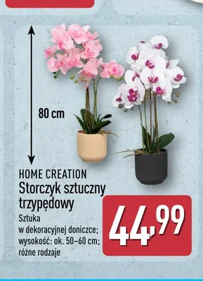 Storczyk sztuczny trzypędowy Home Creation promocja w Aldi