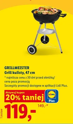 Grill kulisty, 47 cm promocja w Lidl