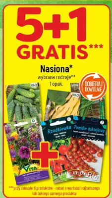 Nasiona wybrane rodzaje promocja w POLOmarket