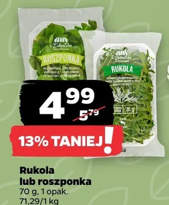 Rukola lub roszponka promocja w Netto