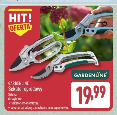 Sekator ogrodowy z mechanizmem zapadkowym Gardenline promocja w Aldi