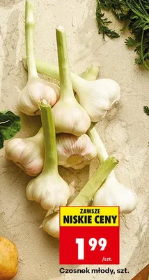 Czosnek młody promocja w Biedronka