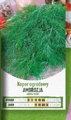 Nasiona - koper ogrodowy Ambrozja POLOmarket promocja w POLOmarket