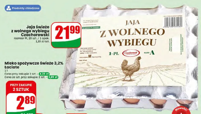 Jaja świeże z wolnego wybiegu Czachorowski rozmiar M promocja w Dino