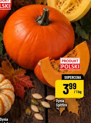 Dynia Spitfire promocja w POLOmarket