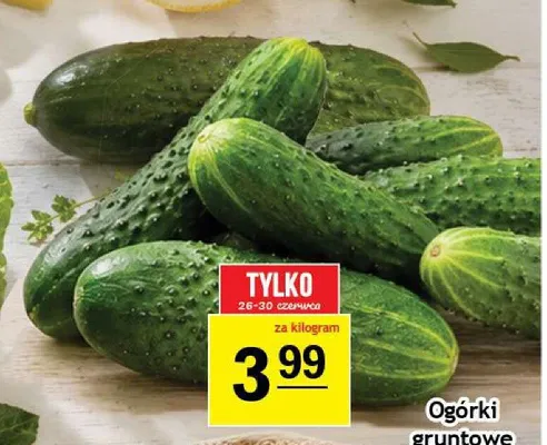 Ogórki gruntowe promocja w Gram Market