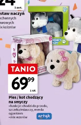 Pies chodzący na smyczy artyk promocja w Intermarche