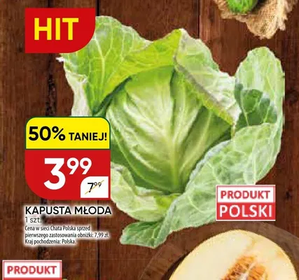 Kapusta młoda polska promocja w Chata Polska
