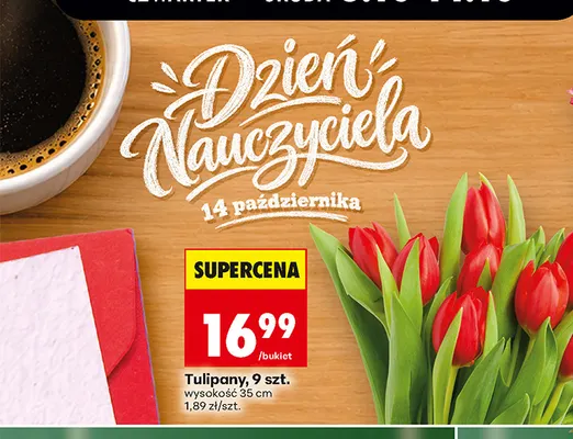 Tulipany 9 szt. promocja w Biedronka